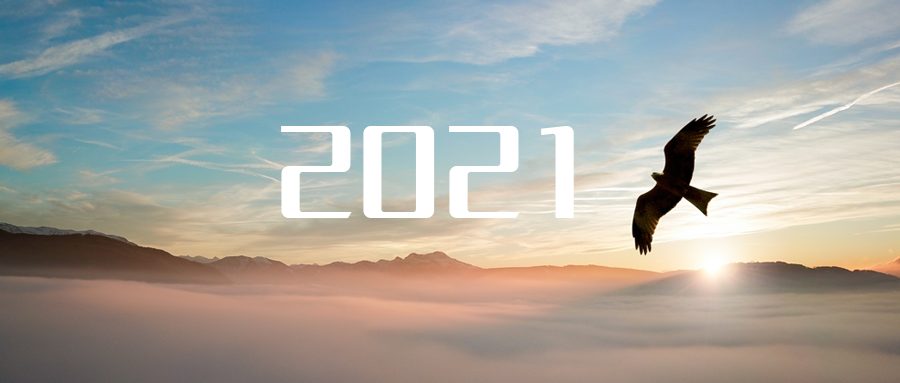 乘“峰”而上，智“盈”未来 ——2021年熊猫体育环境高级资深副总裁新年开工动员